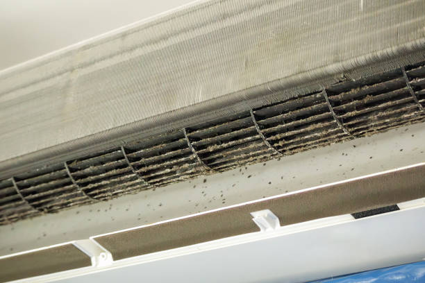 Best Ventilation Cleaning Services  in Silver Lake, FL